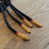 Paire de lacet noire embouts orange