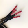 Paire de lacet noire embouts rouge