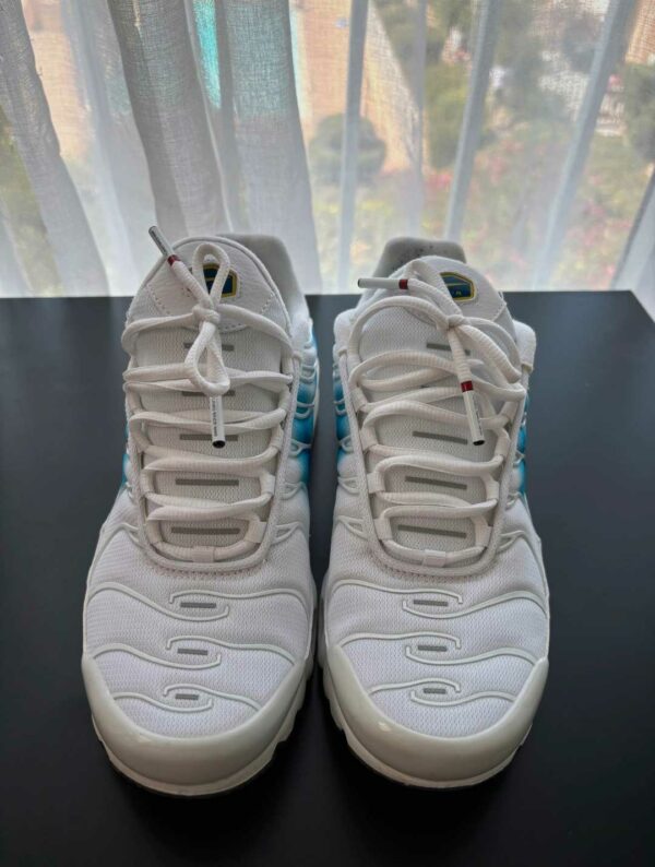 Paire de lacet blanc embouts blanc