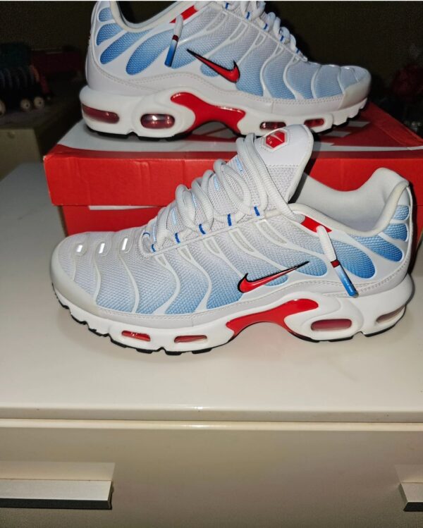 Paire de lacet blanche embouts nation