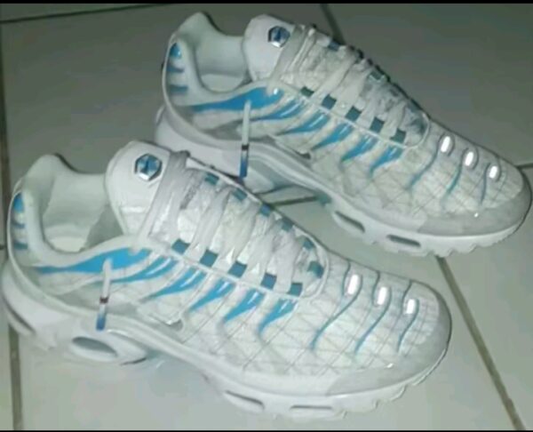 Paire de lacet blanche embouts nation